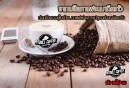 การคั่วกาแฟคืออะไร มีผลต่อรสชาติกาแฟอย่างไร