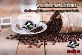 การคั่วกาแฟคืออะไร มีผลต่อรสชาติกาแฟอย่างไร