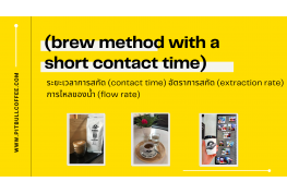 ขนาดเบอร์บด' กับบทบาทสำคัญต่อการสกัดกาแฟ